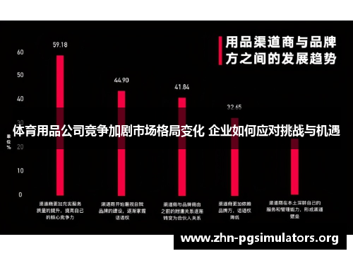 体育用品公司竞争加剧市场格局变化 企业如何应对挑战与机遇