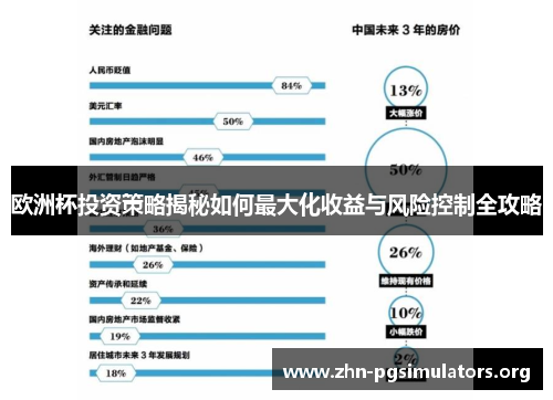 欧洲杯投资策略揭秘如何最大化收益与风险控制全攻略