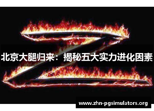 北京大腿归来：揭秘五大实力进化因素
