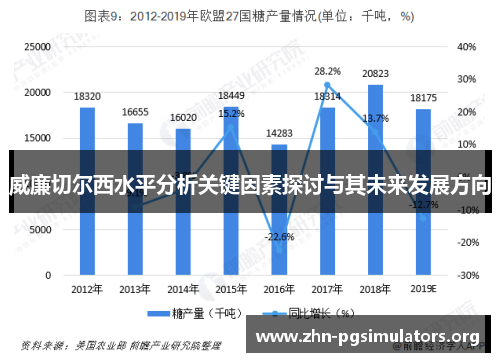 威廉切尔西水平分析关键因素探讨与其未来发展方向