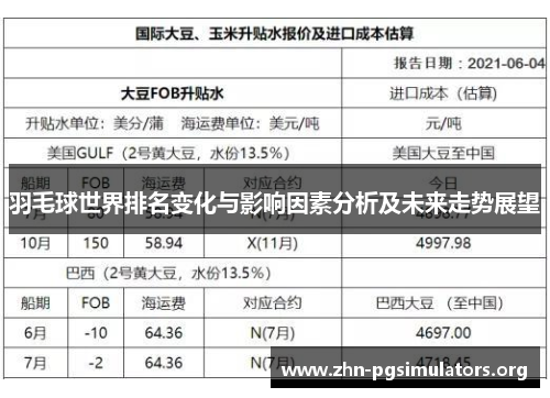 羽毛球世界排名变化与影响因素分析及未来走势展望